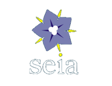 Escola de Paranhos – Seia